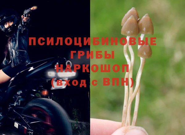 прущая мука Володарск