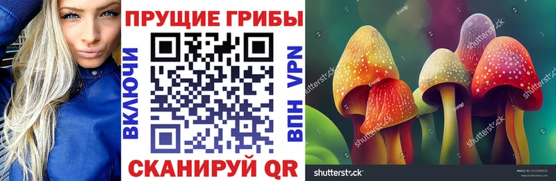 Купить Билибино Псилоцибиновые грибы ЛСД